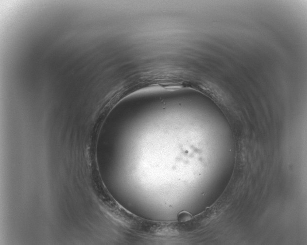 X0000067490258200604101303