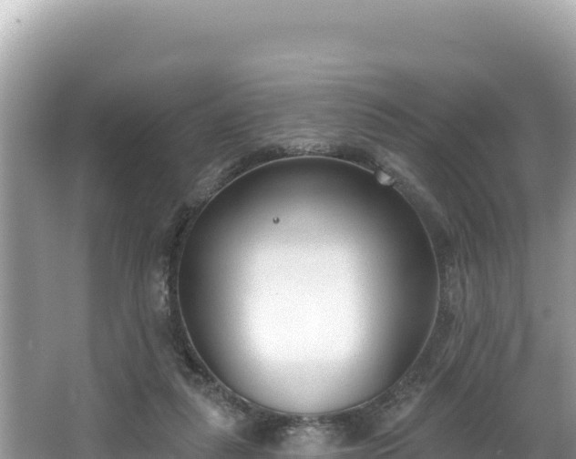 X0000067490259200604101303