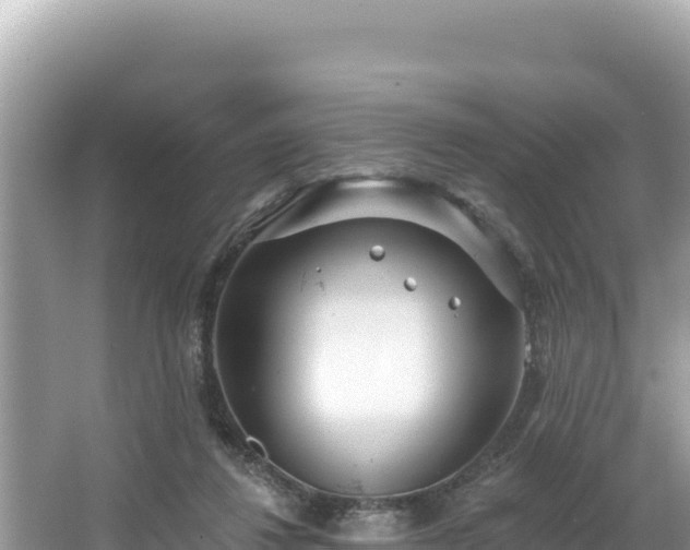 X0000067490260200604101303