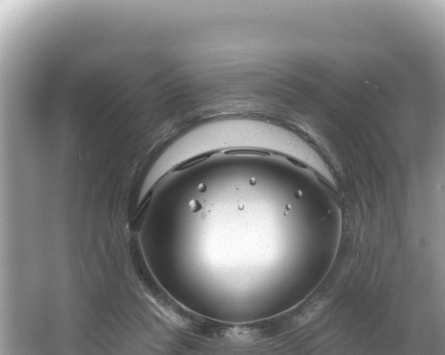 X0000067490261200604101303