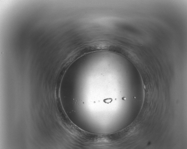 X0000067490262200604101303