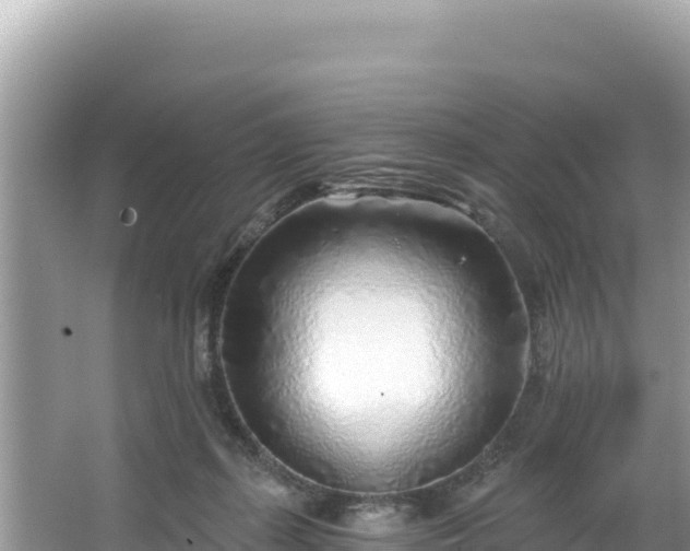 X0000067490267200604101303