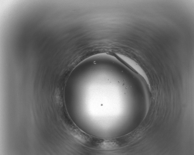 X0000067490270200604101303