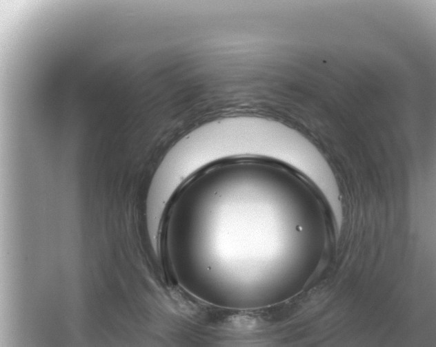 X0000067490272200604101303