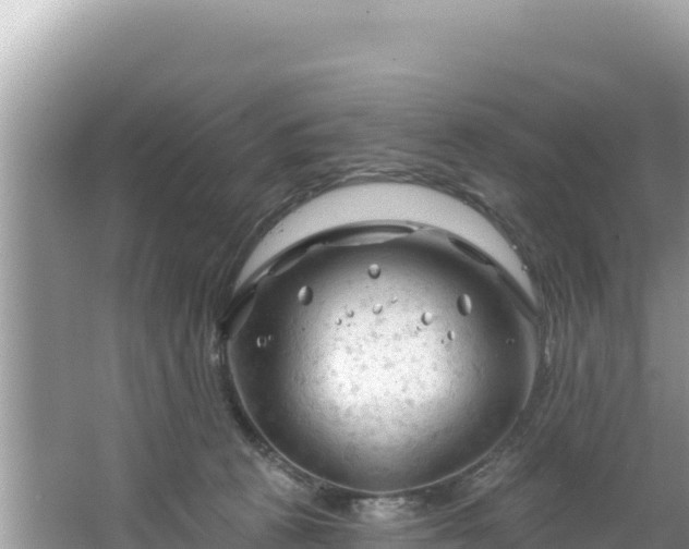 X0000067490273200604101303