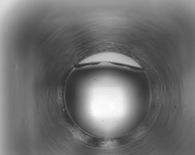 X0000067490274200604101303