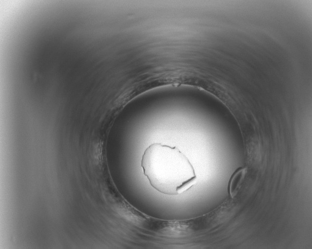 X0000067490278200604101303