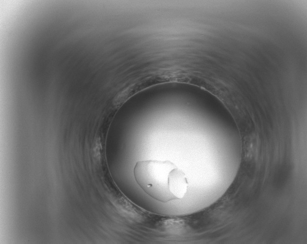 X0000067490279200604101303