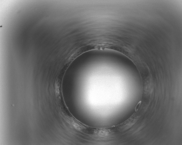 X0000067490282200604101303