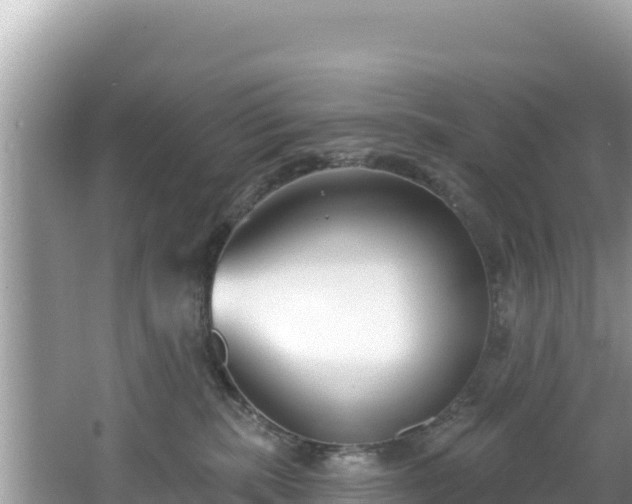 X0000067490283200604101303