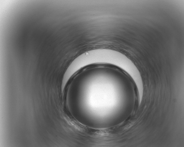 X0000067490284200604101303