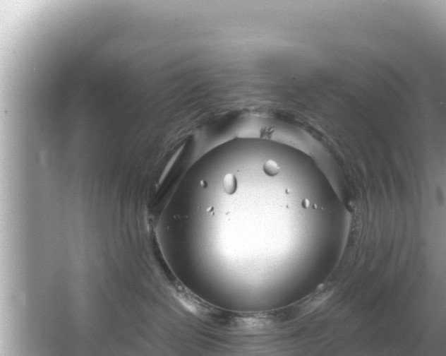 X0000067490286200604101303