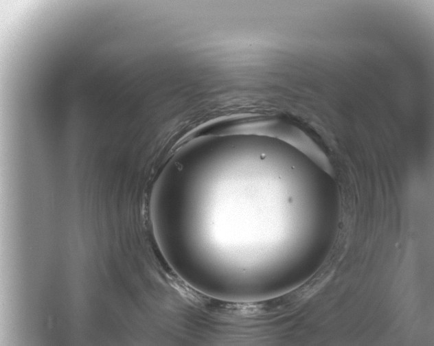 X0000067490288200604101303