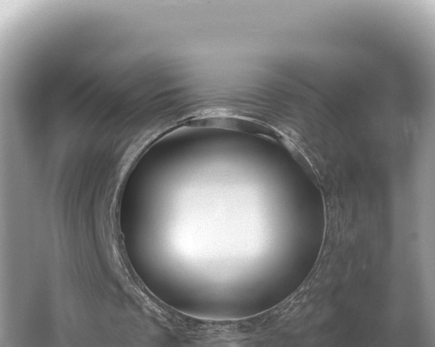 X0000067490289200604101302