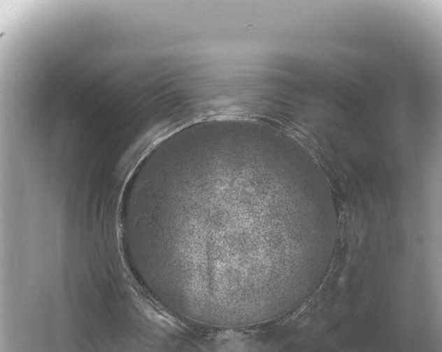 X0000067490290200604101302