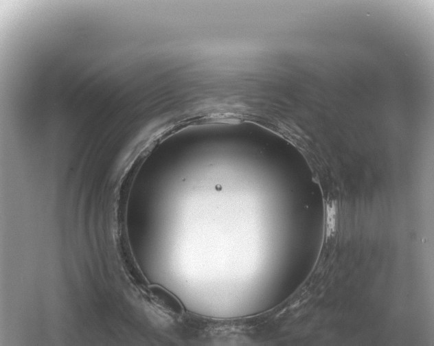 X0000067490291200604101302