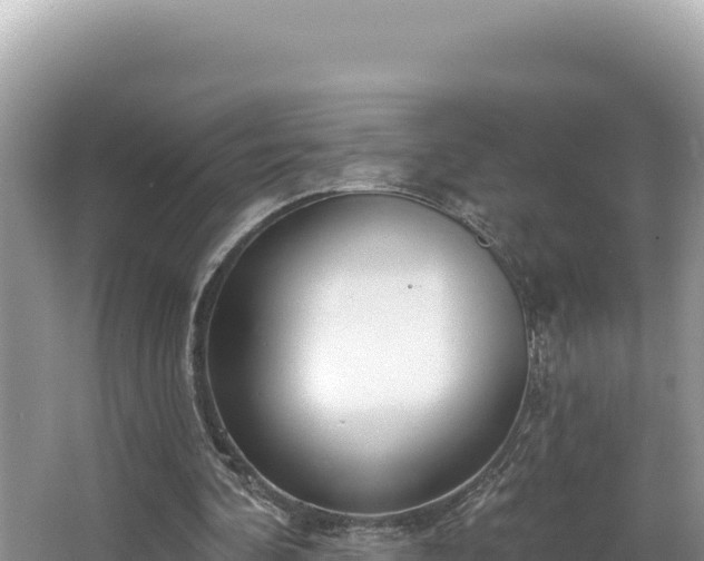 X0000067490292200604101302