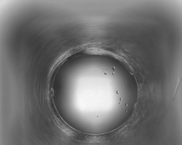 X0000067490293200604101302