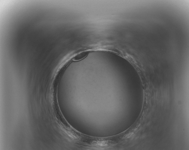 X0000067490295200604101302