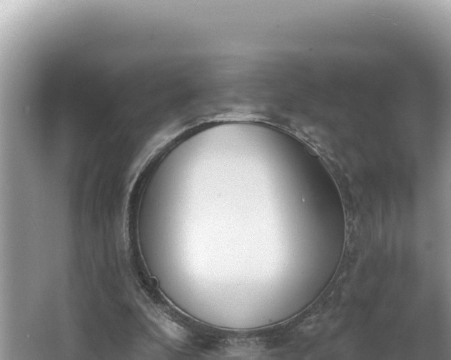 X0000067490296200604101302