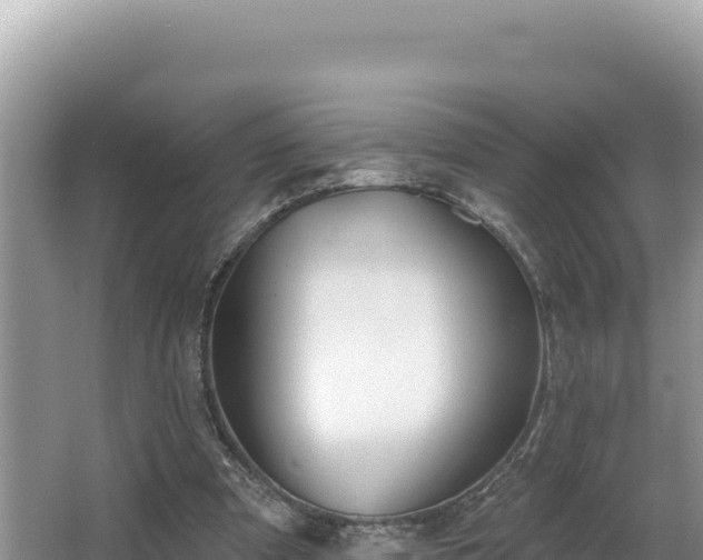 X0000067490297200604101302