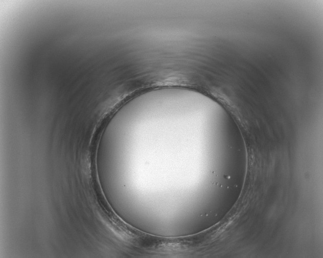 X0000067490298200604101302