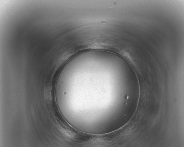 X0000067490299200604101302