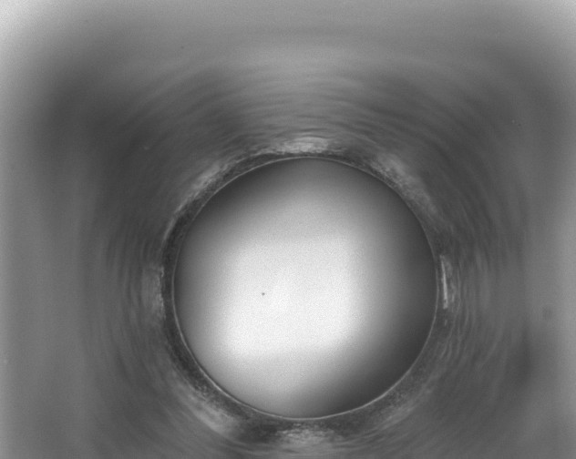 X0000067490300200604101302