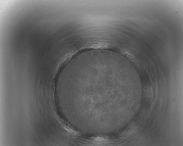 X0000067490303200604101302