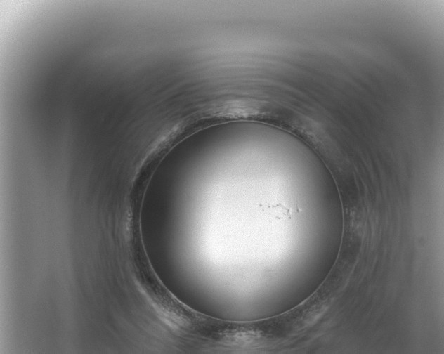 X0000067490304200604101302