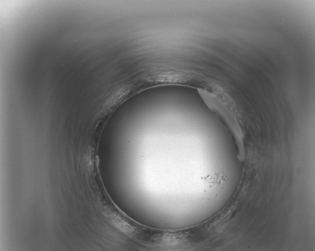 X0000067490305200604101302