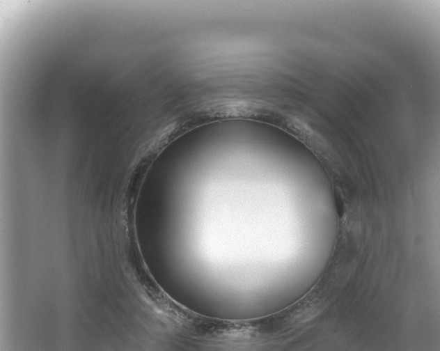 X0000067490306200604101302