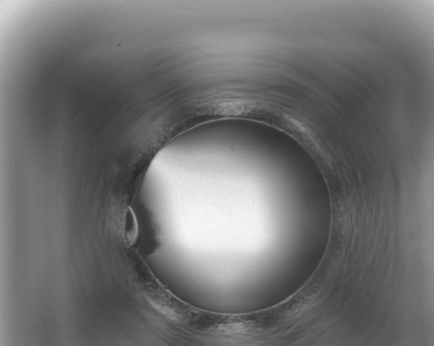 X0000067490307200604101302