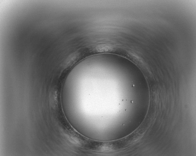 X0000067490308200604101302