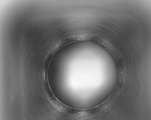 X0000067490310200604101302