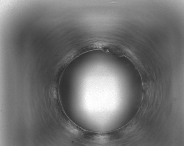 X0000067490313200604101302