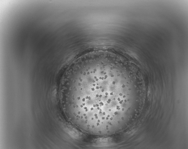 X0000067490314200604101302