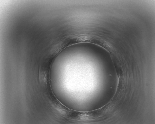 X0000067490315200604101302