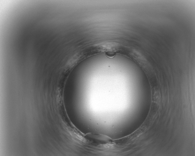 X0000067490318200604101302