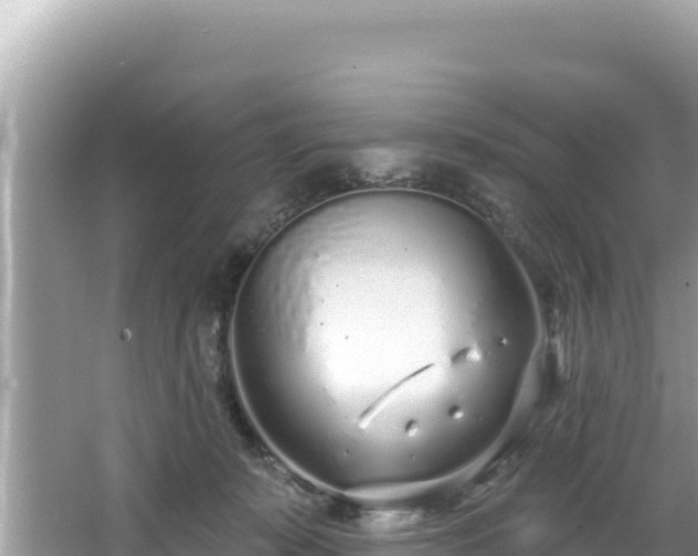 X0000067490319200604101302