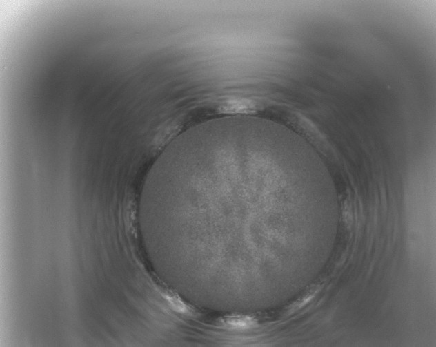 X0000067490322200604101302