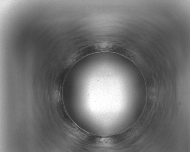 X0000067490324200604101302