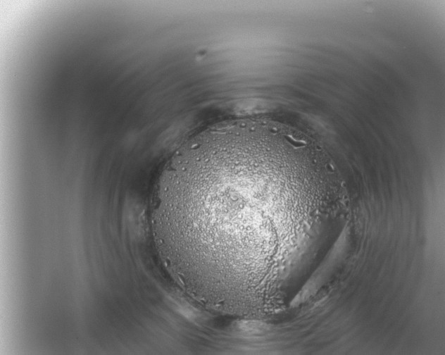 X0000067490327200604101302