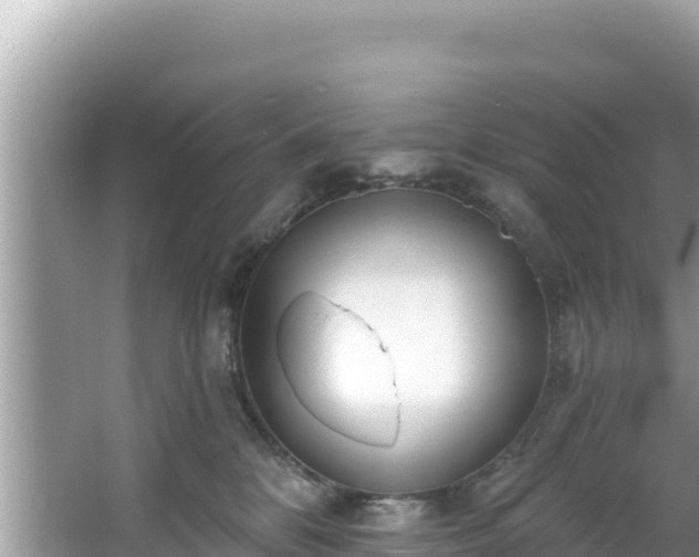 X0000067490328200604101302