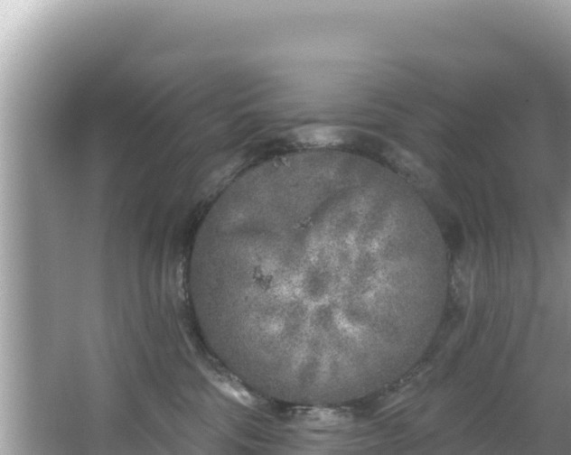 X0000067490330200604101302