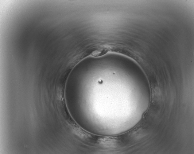 X0000067490331200604101302