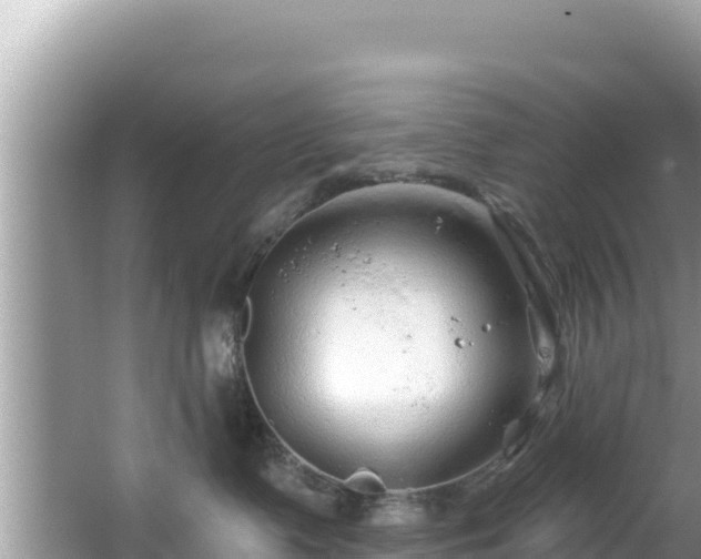 X0000067490335200604101301