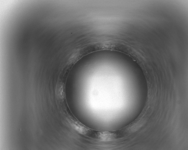 X0000067490336200604101301