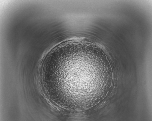 X0000067490337200604101301