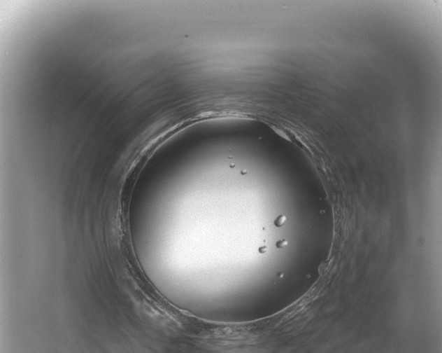 X0000067490338200604101301